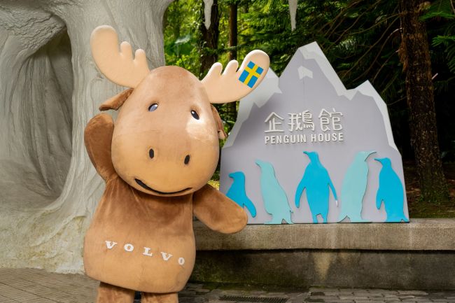 VOLVO 在地落實品牌永續 攜臺北市立動物園二度投身動物保育 擴大守護國王企鵝、黑腳企鵝 打造全新企鵝館永續親子互動體驗